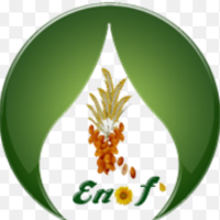 ELITE NATURAL OILS & FUELS logo