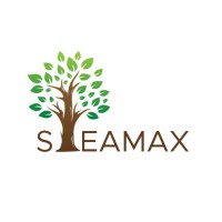 Steamax logo