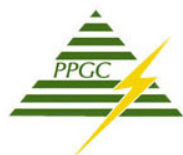 Ppnpower logo