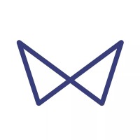 Vitwit logo