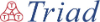 Triad Software logo