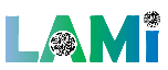 LAMi Advance Solutions logo