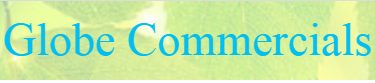 Globe Commercials logo