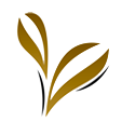 Orchid Laminates logo