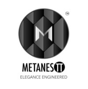 Metanestt logo