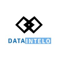 Data Intelo logo