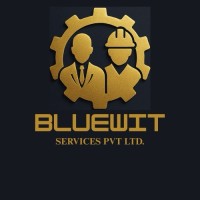 Bluewit logo