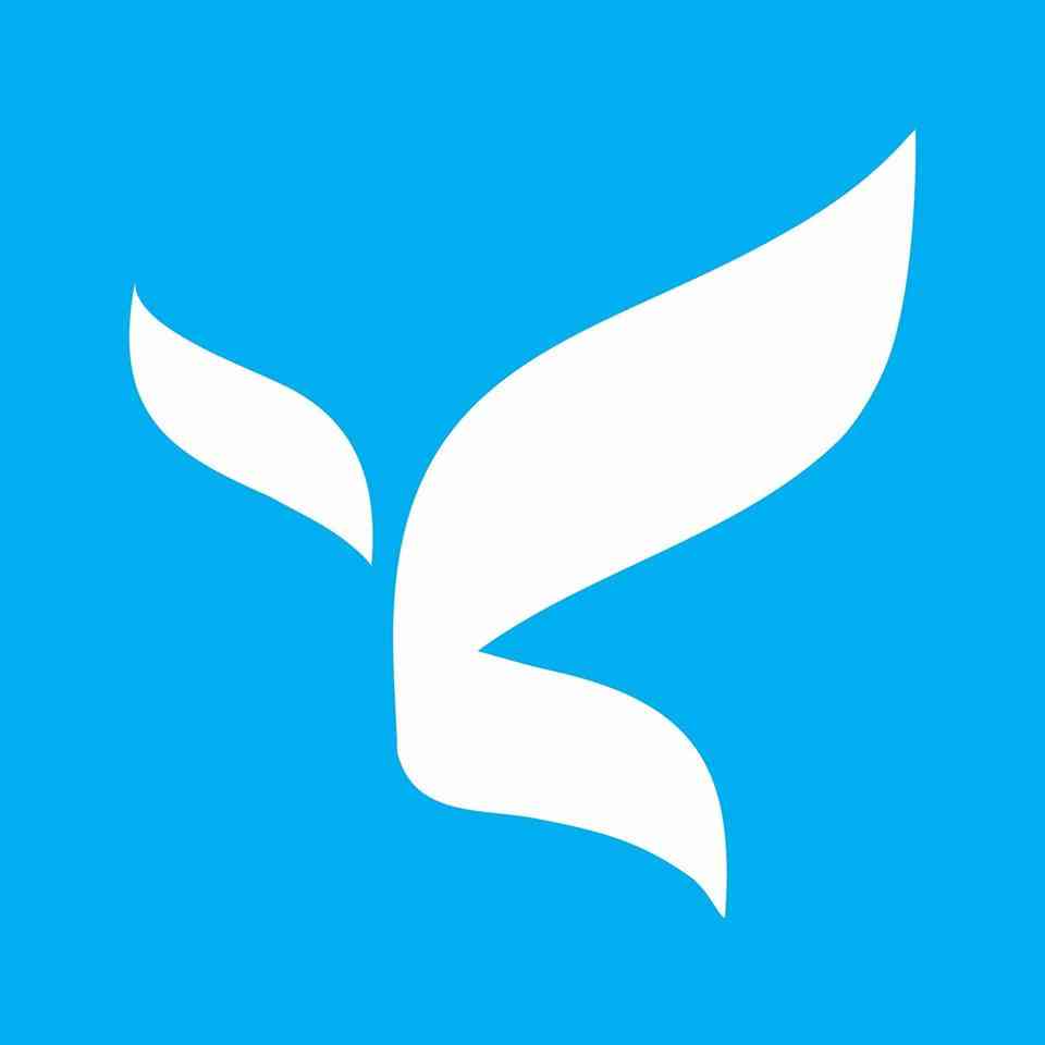 Sarvang InfoTech India Ltd logo