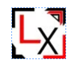 Levelx Micro logo