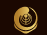 Navyug India logo