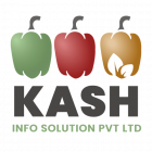Kash Info Solutions logo