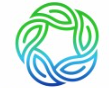 StarOrigin logo