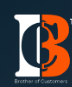 Brocussolutions logo