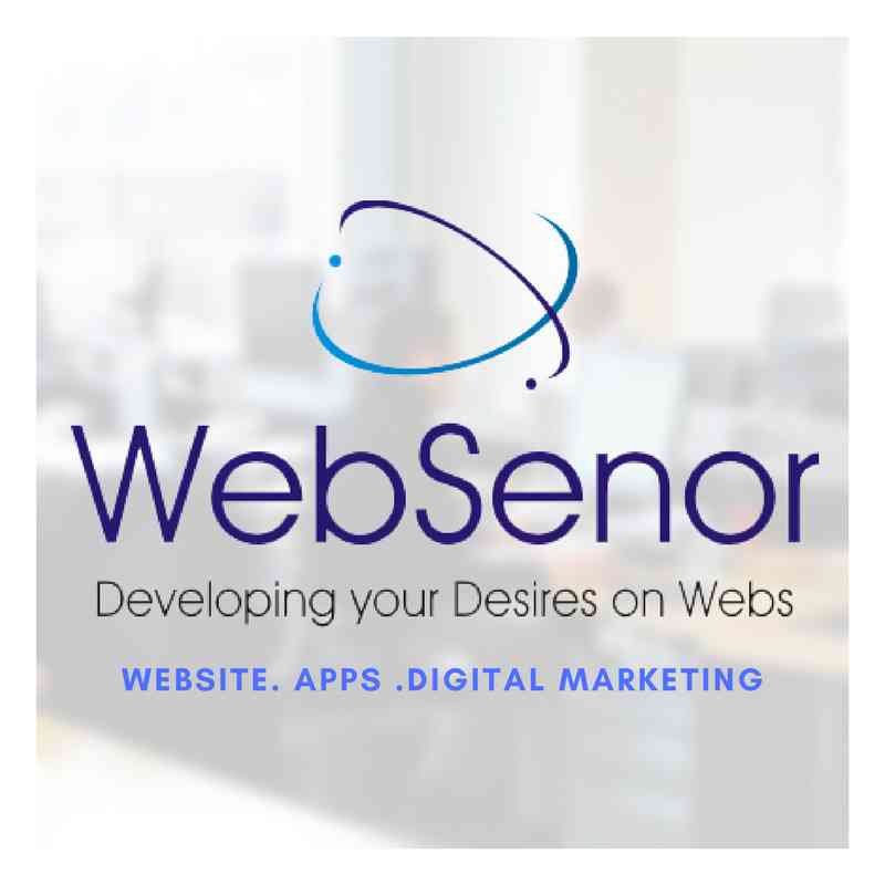 Websenor Infotech logo