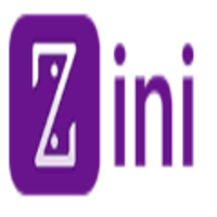 ZINI logo
