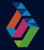 Shadow infosystem logo