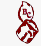 Banashankari Chemicals logo
