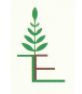 TFL logo