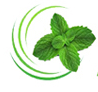 Praveen Aroma logo