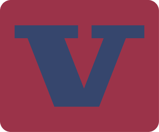 Vision Sponge Iron logo
