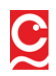 Conins Pune logo