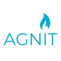 AGNIT Semiconductors logo