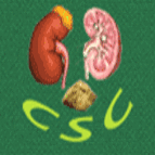 Chennai Stone Clinic logo