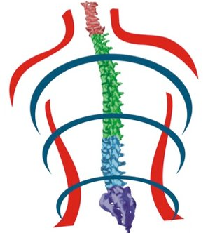 Capri Spine logo