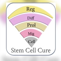 Stem Cell Therapy India logo
