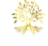 MedRootz logo