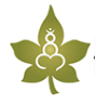 Santulan Ayurveda logo
