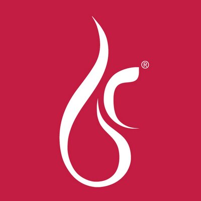 BodyCraft logo