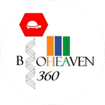 Bioheaven 360 logo