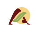 Ayushvi logo
