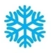 SNOWMAX logo