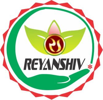 Reyanshiv Logistics logo
