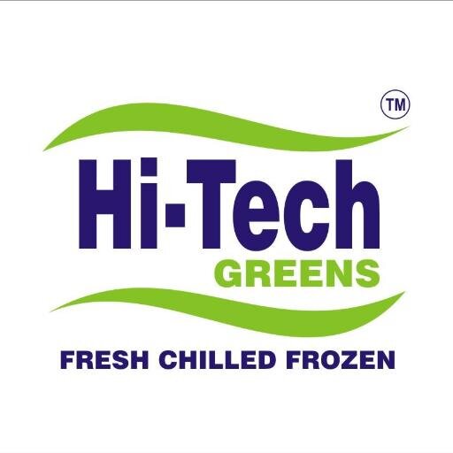 Hi-Tech Frozen logo