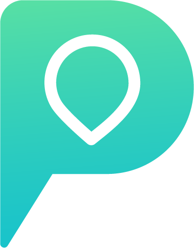 pluplay connect logo