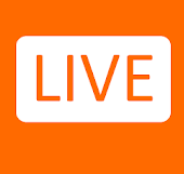 Videokar logo