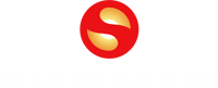 Silver Group logo