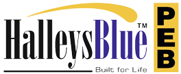 HalleysBlue Steels logo