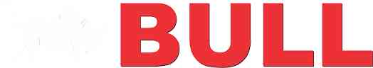 Bull Machines logo
