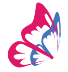 Shree Nidhi Trading Company logo