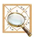 Predection logo