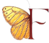 My Fashion logo