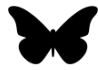 Gotitli logo