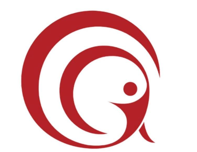 SCHIMAG logo