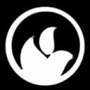 SaffronExch logo