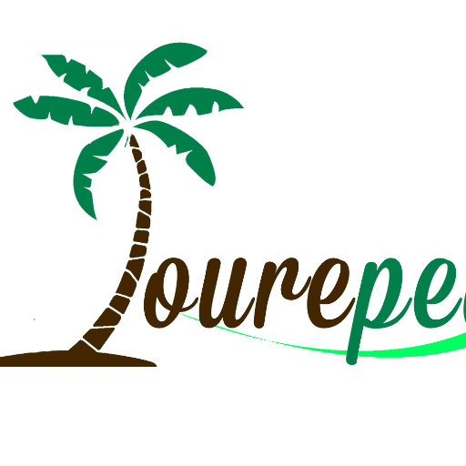 Tourepedia logo