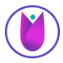 Bis Matrimonial logo